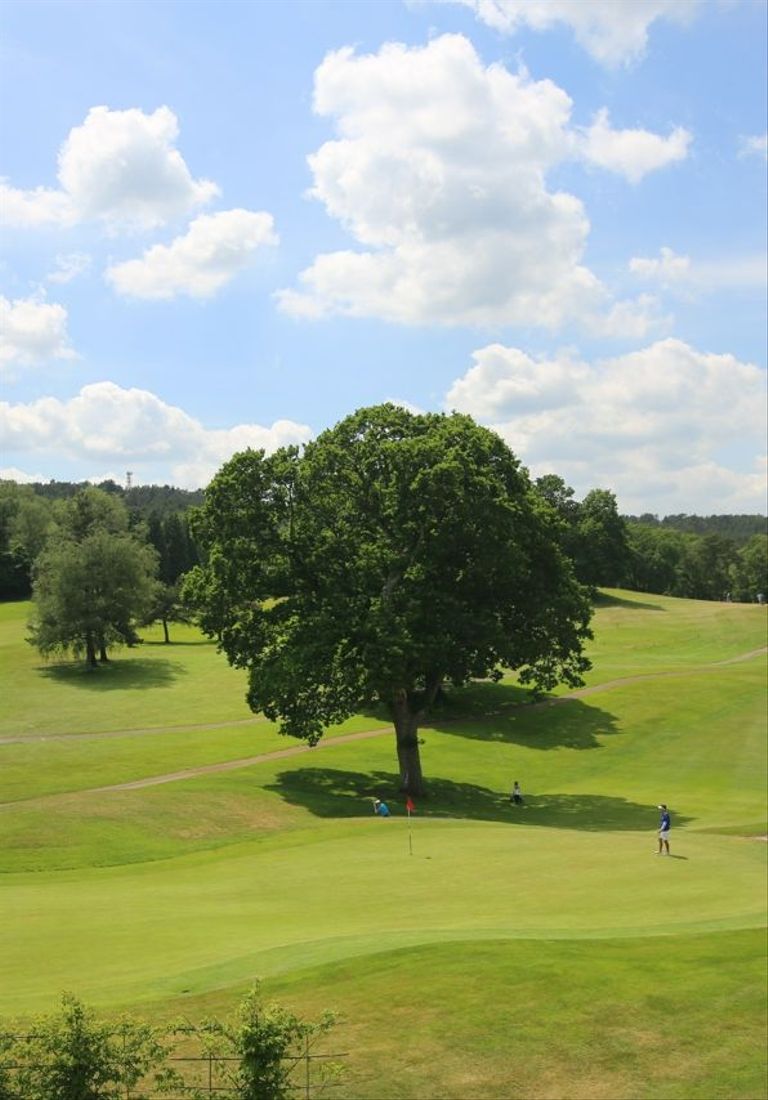 View of golf course from spa terrace