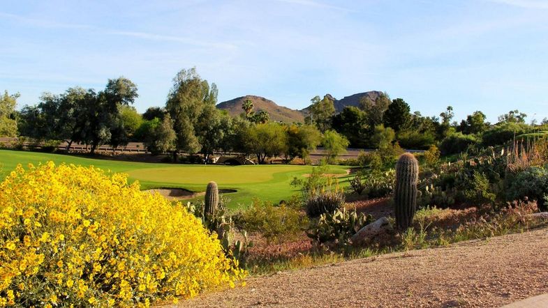 Hilton Phoenix Tapatio Cliffs Resort golf 5.jpg