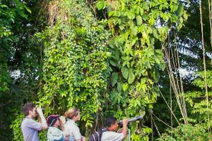 pooks-hill-belize-01.jpg