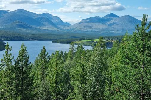 Walking in Norway's Rondane