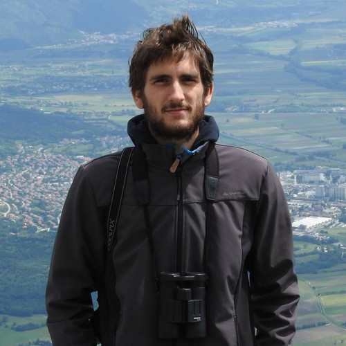 Domen Stanic