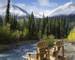 Alaska - McKinley Creekside Cabins -Chairs Creek.jpg