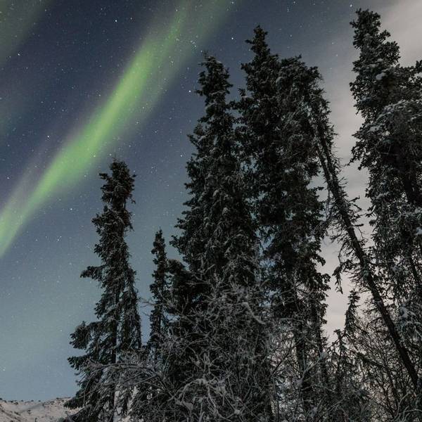 alaska-coldfoot-northern-lights-jan-kronies-unsplash.jpg