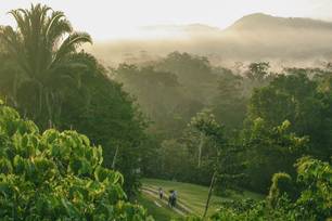 pooks-hill-belize-09.jpg