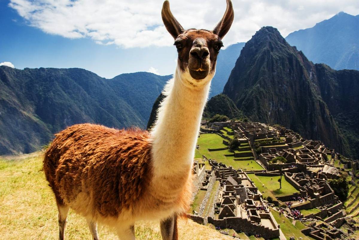 Machu Picchu, Peru, One of the New Seven Wonders of the World
