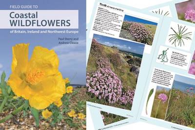 30% Field Guide Discount: Coastal Wildflowers of Britain, Ireland and Northwest Europe