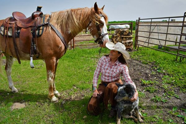 hidden-trails-rs-ranch-rides-ozarks-horse-pen.jpg