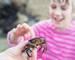 Young Girl Touching Crab Found In Rockpool On Beach