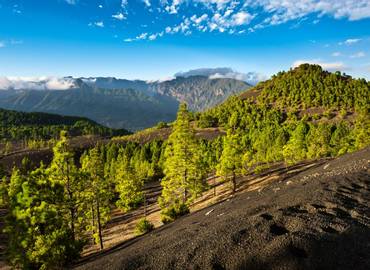 The Canaries - La Palma in Spring
