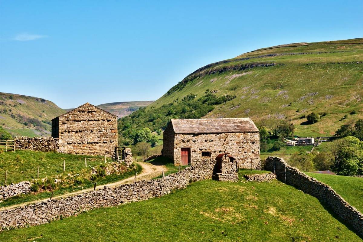 Quaint old stone barns surrounded by dry stone walls enclosing green fields on the gently rolling hills in Swaledale in the …