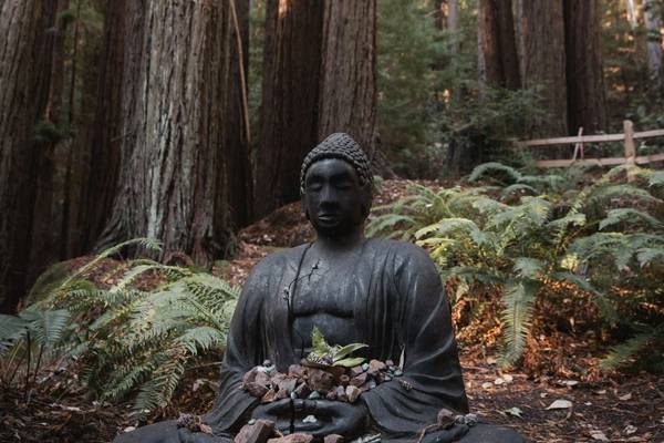 canyon-ranch-woodside buddha-sculpture.jpg