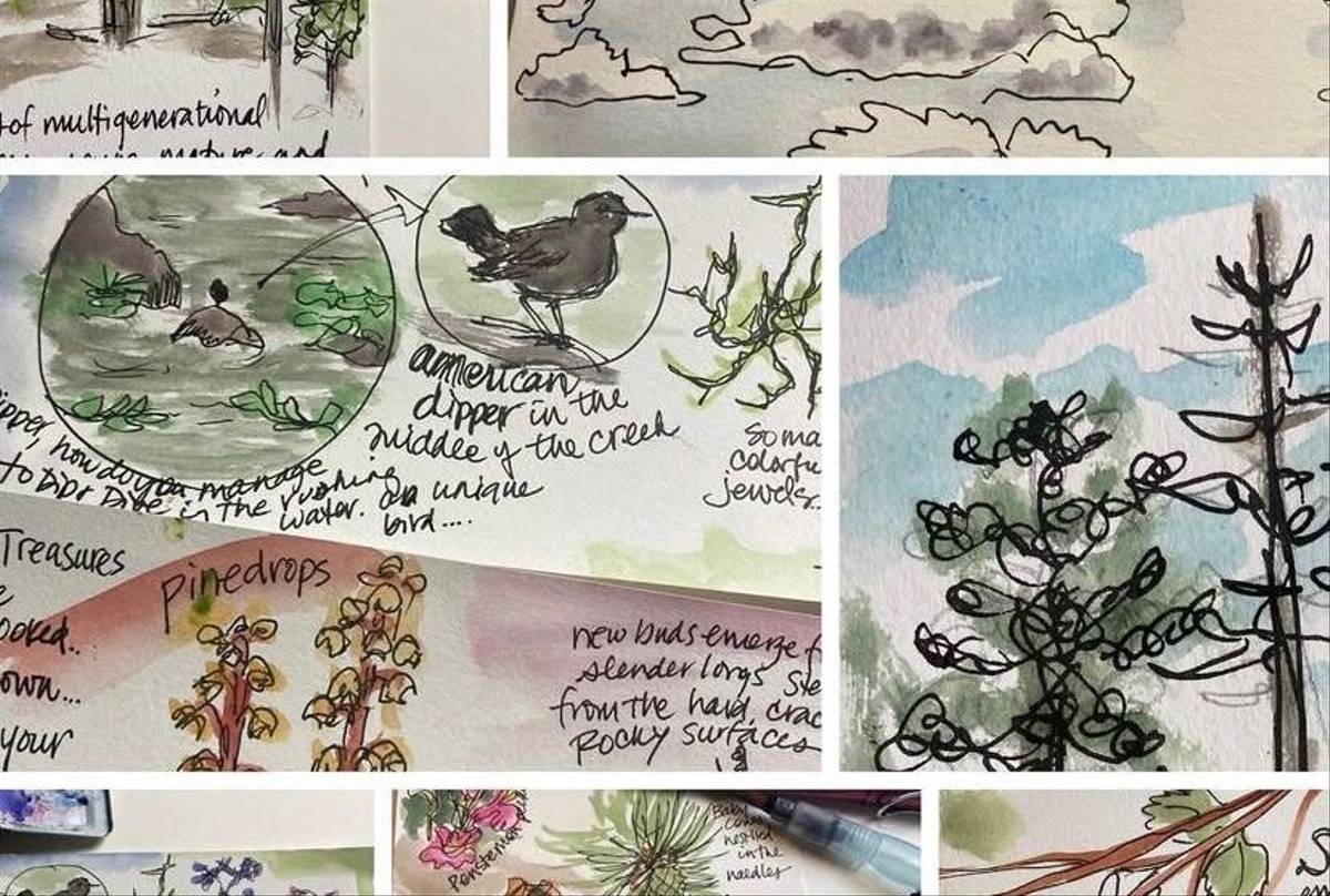 Nature Journalling (Melinda Nakagawa)
