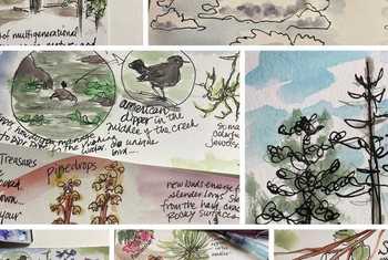 Nature Journalling (Melinda Nakagawa)
