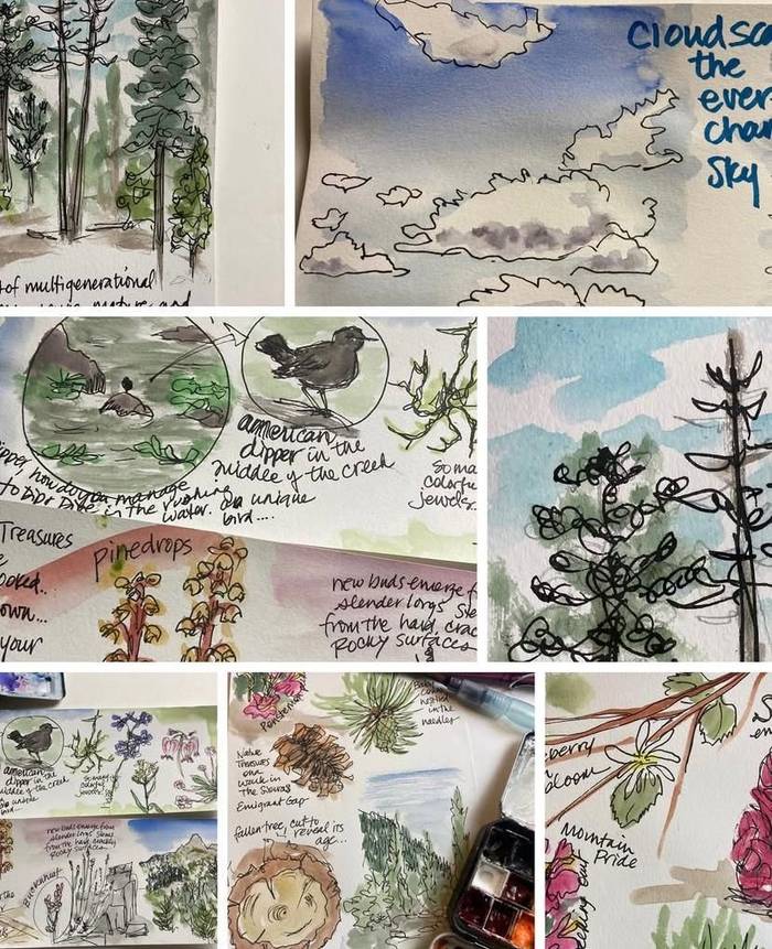 Nature Journalling (Melinda Nakagawa)
