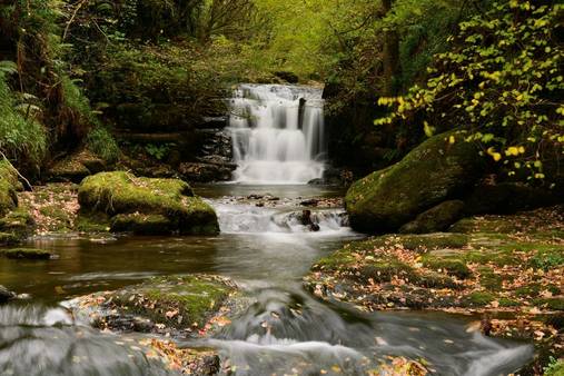 Exmoor