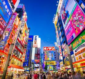 Tokyo: Disembark Ship & Hotel Stay