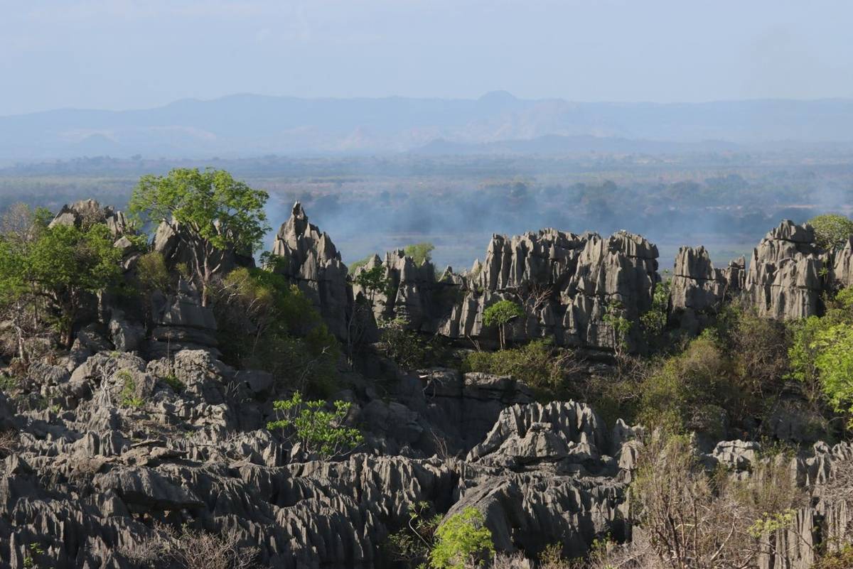 News in Brief: Norway, Madagascar, India, Portugal, Sri Lanka & Oman