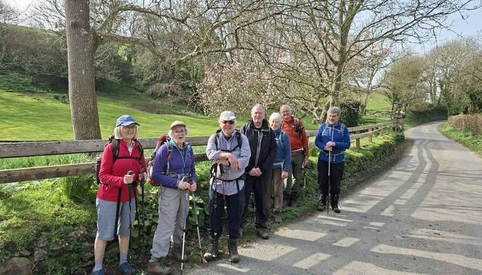 Exmoor views with pony