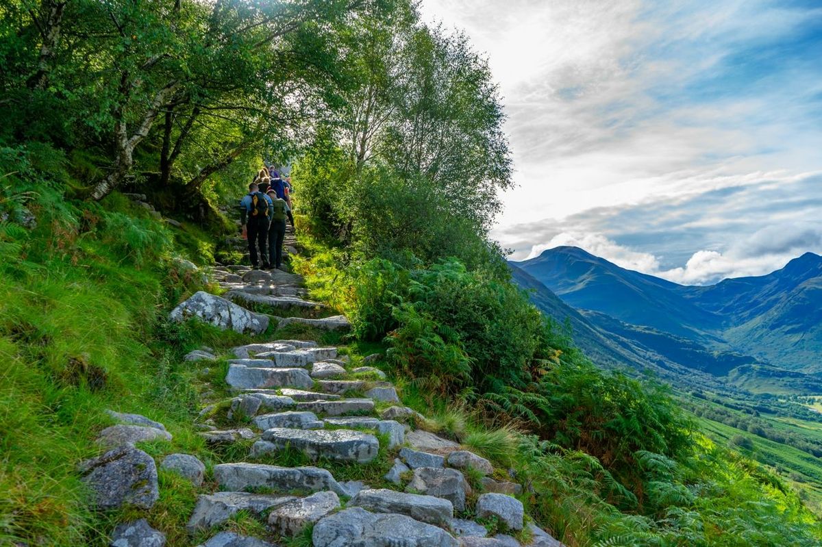 AdobeStock_378931216 (1).jpeg