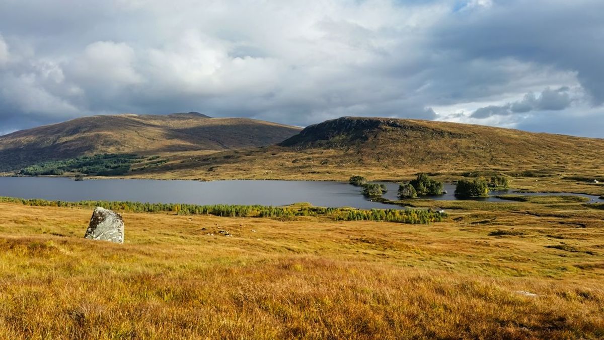 Beinn na Lap is a mountain in the Grampian Mountains of Scotland. It lies at the northern end of Rannoch Moor, near to Corro…