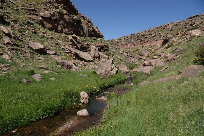 Atlas Mountain Habitat © Martin Pitt, June 2026 tour.JPG