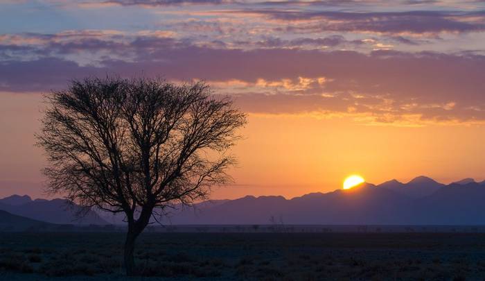 Desert sunrise (Simon Shore)