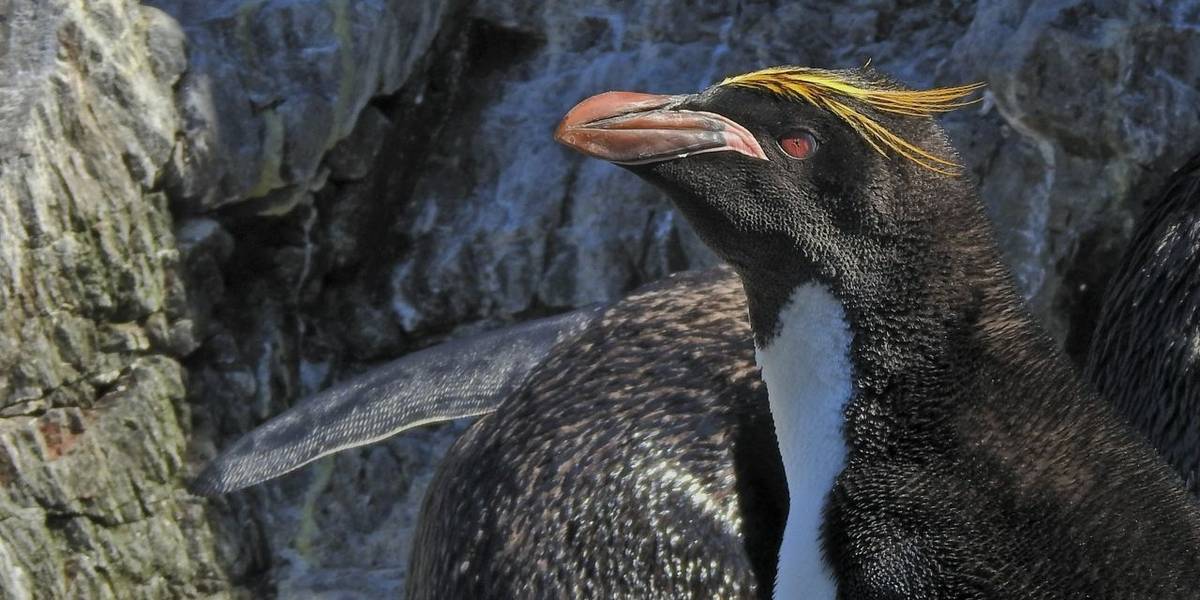 News in Brief: Antarctica, the Maldives, Iceland, Spain and the UK