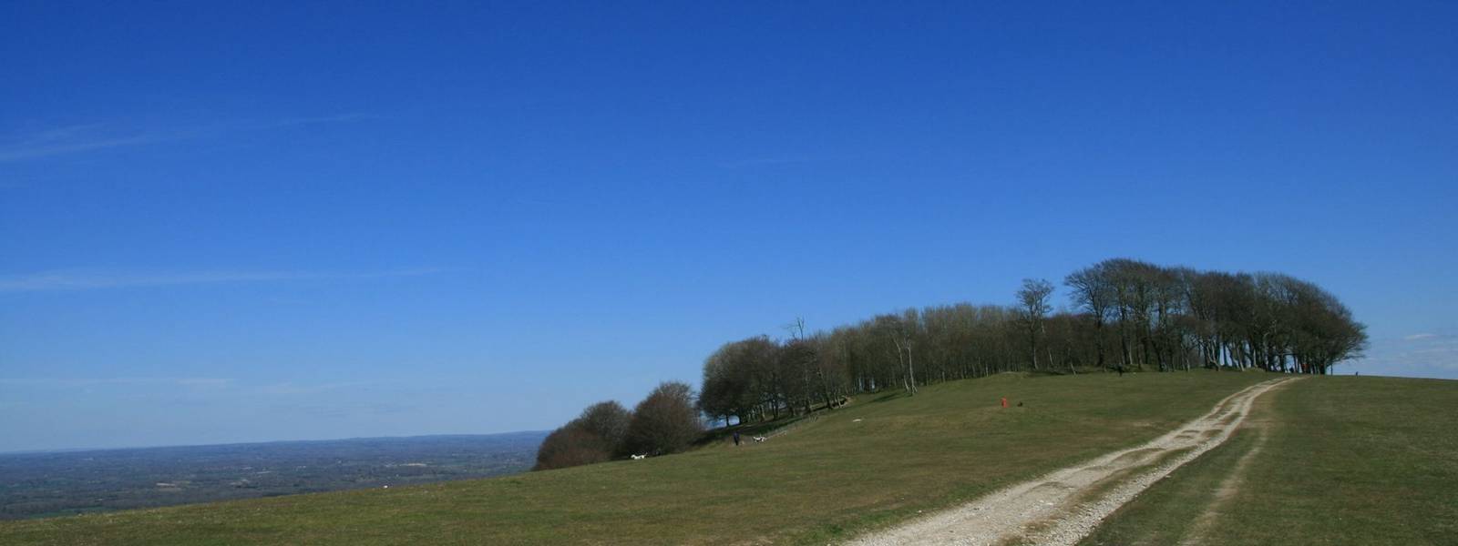 South Downs Way to Chanctonbury Ring.JPG