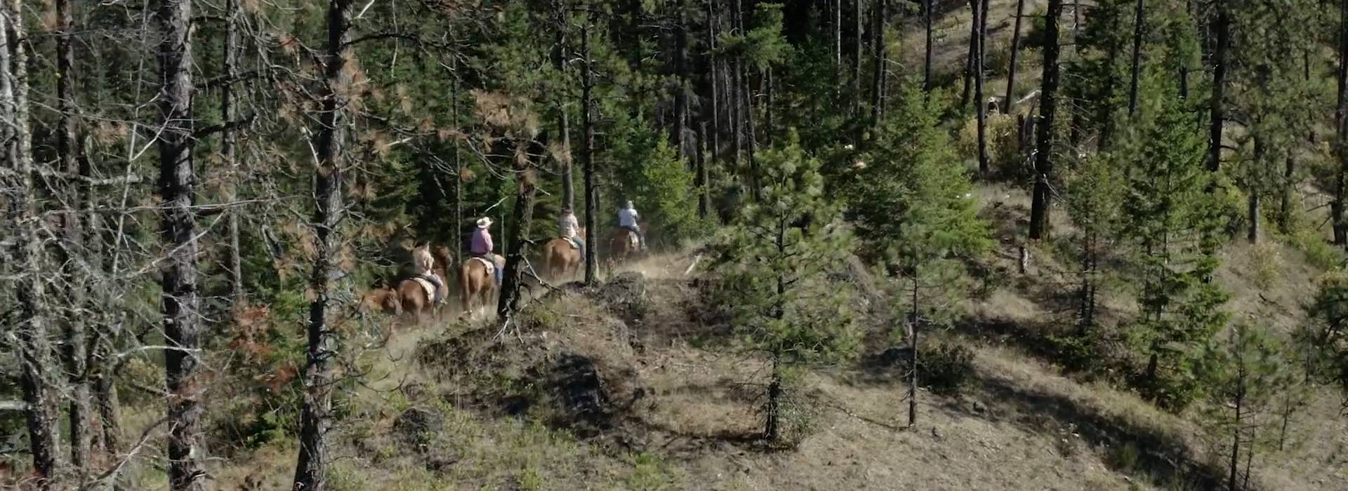 red-horse-mountain-ranch-trail-ride.png