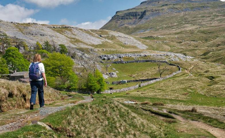 A single walker on the path by Crina Bottom, heading for Ingleborough, in the background, in the Yorkshire Dales, UK