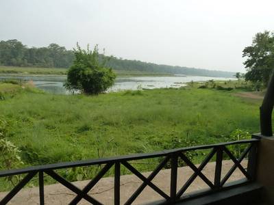 Jungle Villa Resort in Chitwan