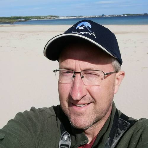 Neil Murphy