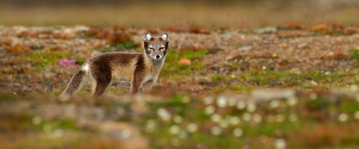 News in Brief: Europe, India, Morocco, Uzbekistan & the UK