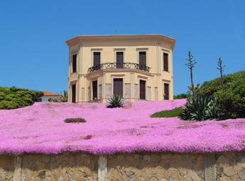 Villa Mosca, Sardinia, Italy (4).jpg