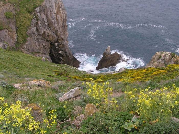 Basque Coastline