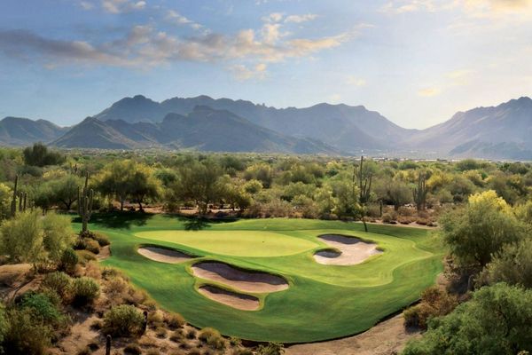 Omni Scottsdale Resort & Spa at Montelucia grayhawk raptor.jpg
