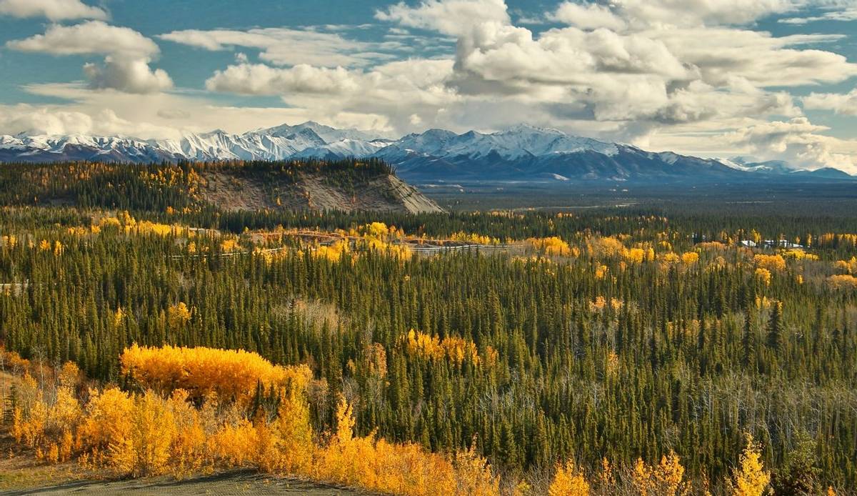 View of Wrangell - St. Elias mountains from Glenn HWY in Alaska, beatiful colorful autumn time from Glenn highway in Alaska,…