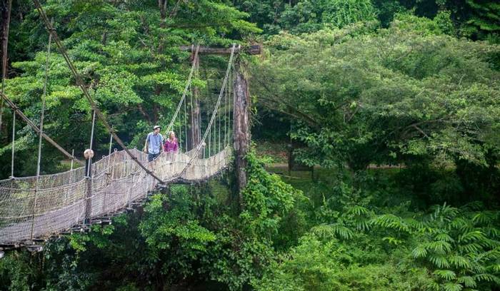 Danum Valley Field Centre