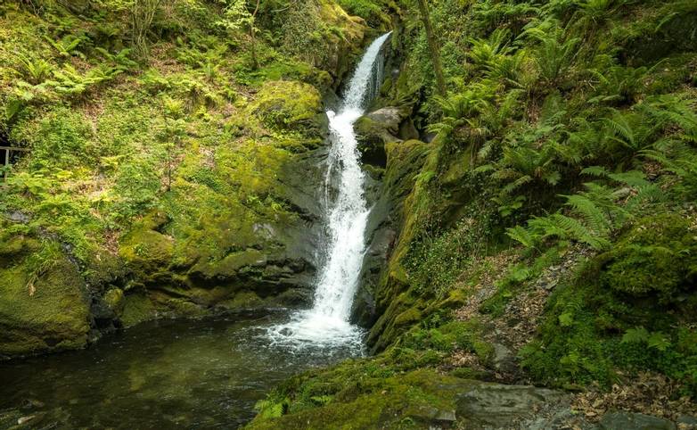 Dolgoch Waterfalls, Wales, UK