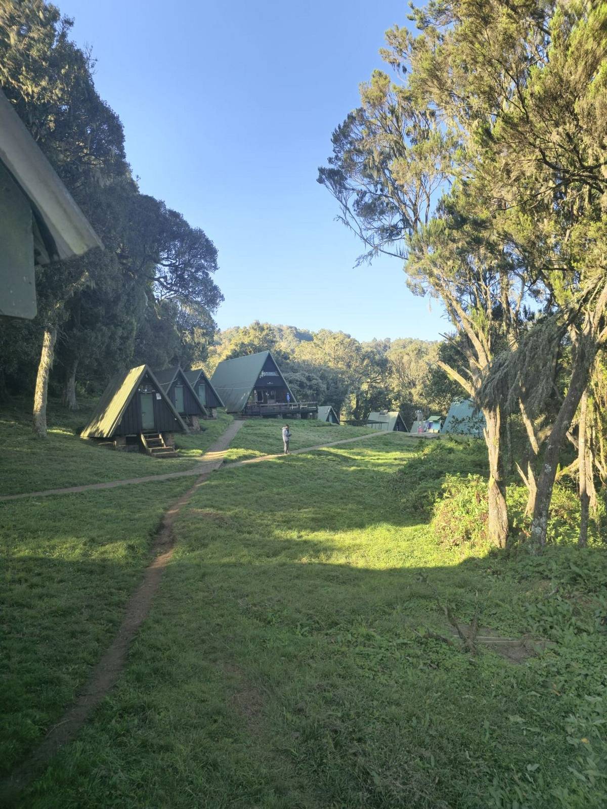 Kilimanjaro Mandara Huts.jpeg