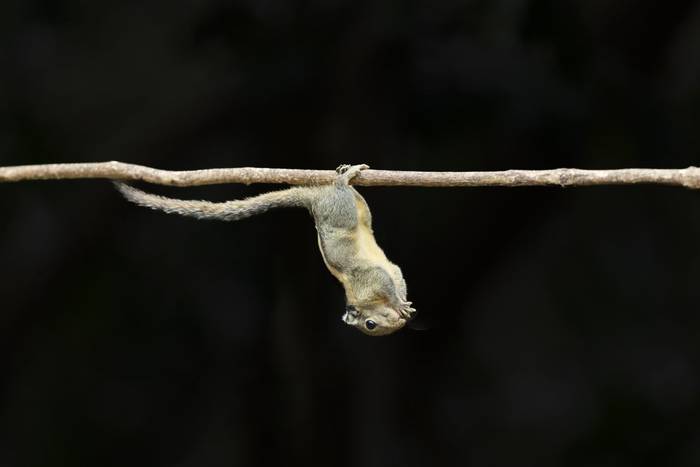 Kaeng Krachan, Phetchaburi, Thailand, March
