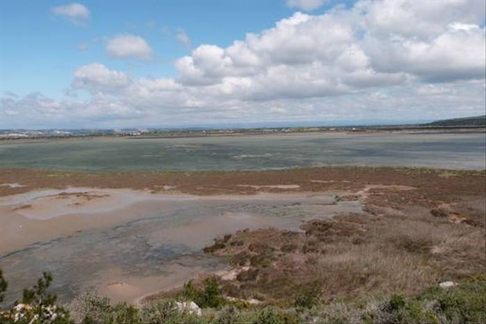 Gruissan salt pans with the Pyrennes in the distance