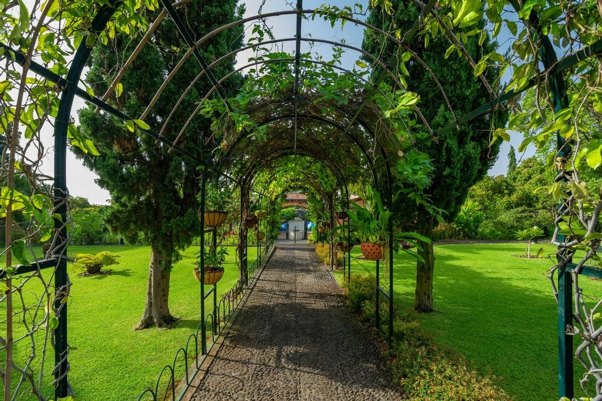 Portugal - Gardens of Madeira - Alberto Reynolds  - 8. QUINTA JARDINS DO LAGO manicured gardens.jpg