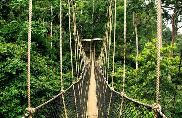 Canopy Walkway, Ghana shutterstock_1502975363.jpg