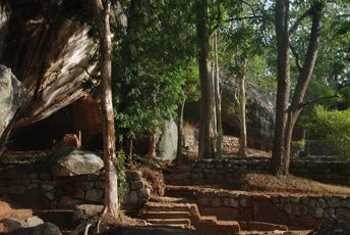 The start of the climb up Sigiriya rock (Thomas Mills)