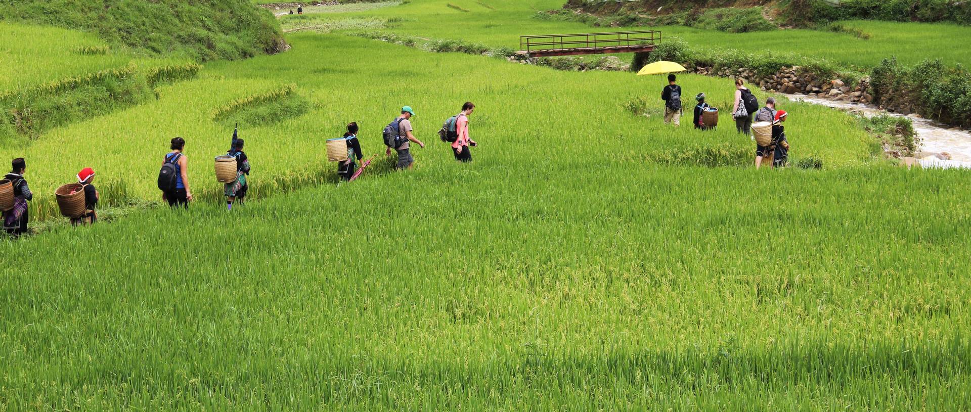 Oasis Overland group walking through Sapa Rice Paddies, Vietnam