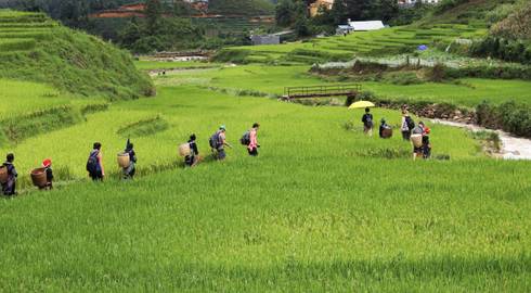 BEIJING to SINGAPORE (69 days) Indochina Encompassed