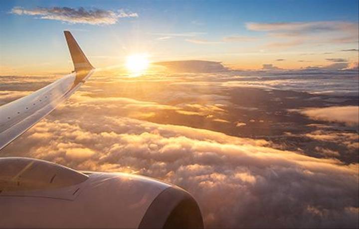 day-6---fly-home.jpg day-6---fly-home.jpg