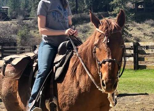 Western-Style Horseback Riding