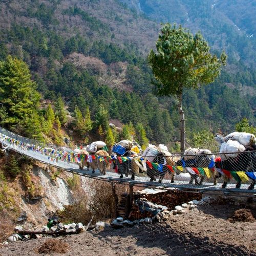 How much does the Everest Base Camp trek cost?